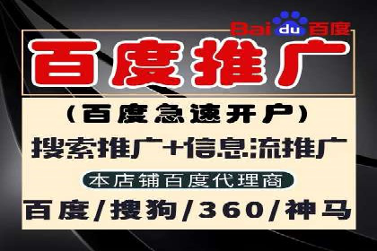 SEM竞价代运营实战技巧与案例